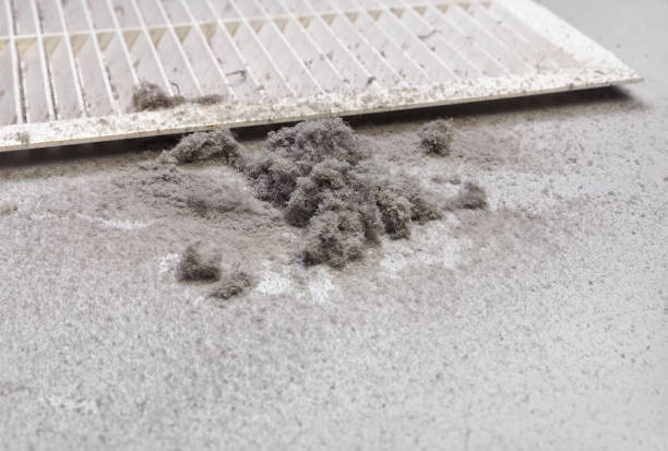 Best Commercial HVAC Duct Cleaning  in Lincoln, AL