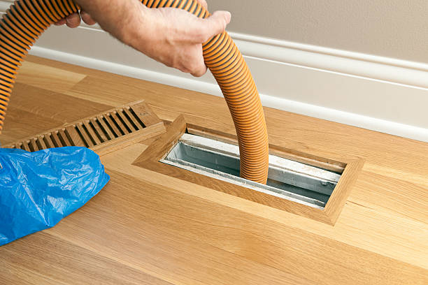 Best HVAC System Cleaning  in Lincoln, AL