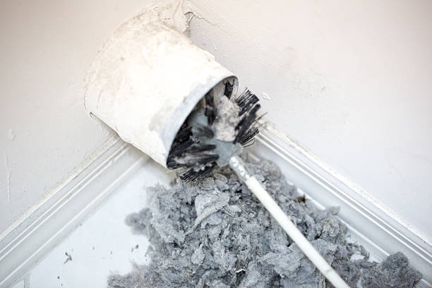 Best HVAC Duct Inspection Services  in Lincoln, AL