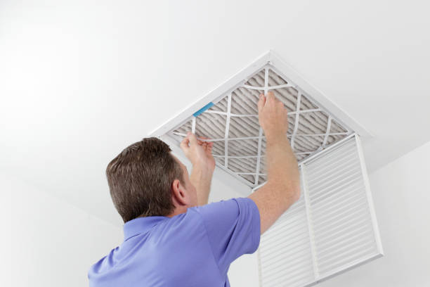 Best Air Duct Cleaning Near Me  in Lincoln, AL